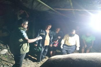 প্রধানমন্ত্রীর নির্দেশে আহত হাতির চিকিৎসা শুরু