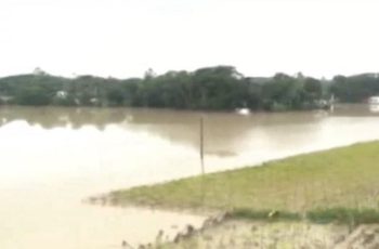কক্সবাজারে ৪ হাজার ২০০ হেক্টর জমির ফসল নষ্ট
