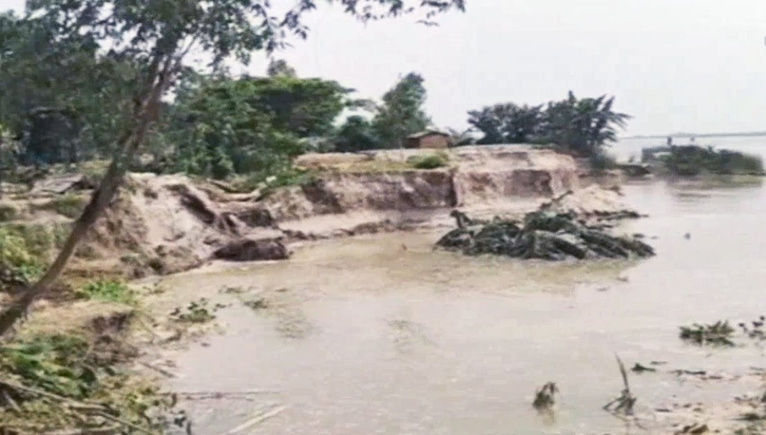 সিরাজগঞ্জে যমুনার ভাঙনে বিলীন হচ্ছে ঘরবাড়ি ও ফসলি জমি