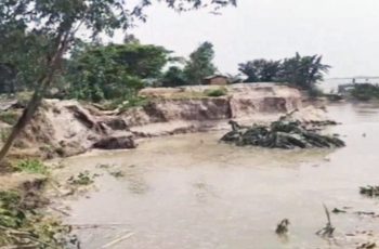 সিরাজগঞ্জে যমুনার ভাঙনে বিলীন হচ্ছে ঘরবাড়ি ও ফসলি জমি