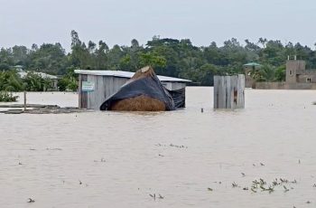 বন্যা ও পাহাড় ধসে সাত জেলায় প্রাণহানি বেড়ে ৫৪