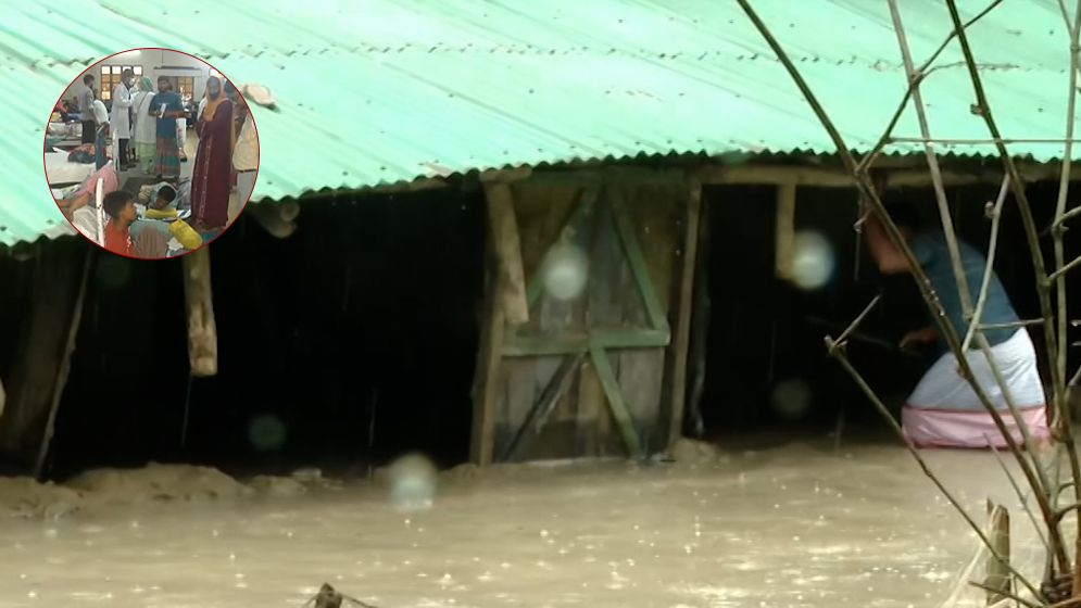 বন্যায় সাপের কামড়ে আক্রান্ত ৯৩ জন, উদ্বেগ বাড়ছে