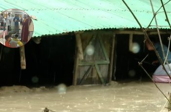 বন্যায় সাপের কামড়ে আক্রান্ত ৯৩ জন, উদ্বেগ বাড়ছে