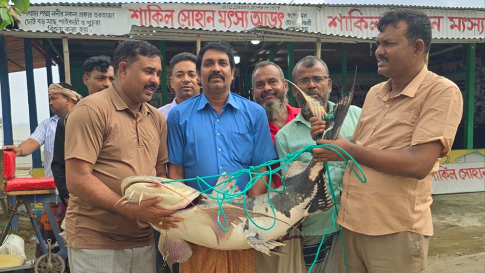 রাজবাড়ীতে দুটি বাঘাইড় বিক্রি হলো ১ লাখ ১৪ হাজার ৬০০ টাকায়