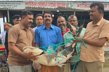 রাজবাড়ীতে দুটি বাঘাইড় বিক্রি হলো ১ লাখ ১৪ হাজার ৬০০ টাকায়