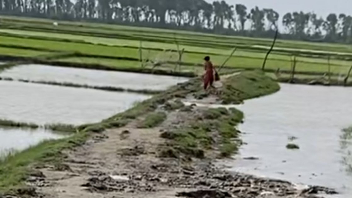 নোয়াখালীর নিঝুমদ্বীপে মরদেহ উদ্ধারে সমন্বয়হীনতা