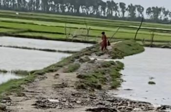 নোয়াখালীর নিঝুমদ্বীপে মরদেহ উদ্ধারে সমন্বয়হীনতা