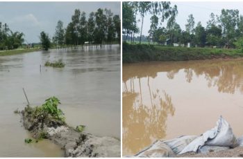 উত্তরাঞ্চলে নদীভাঙন: বসতভিটা ও জমি বিলীনের শঙ্কা