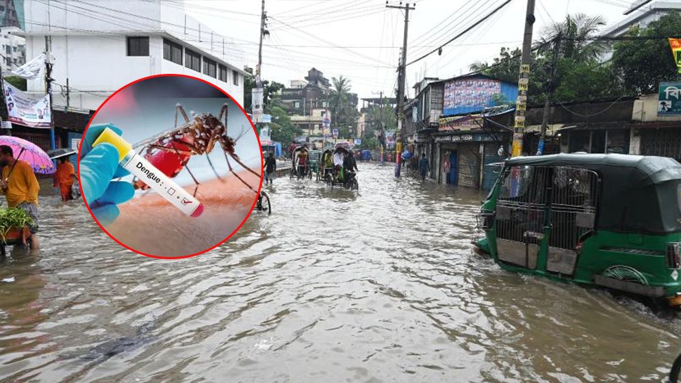 চট্টগ্রামে ডেঙ্গুর সংক্রমণ বৃদ্ধি, চিকিৎসকদের সতর্কতা