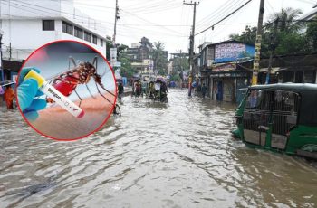 চট্টগ্রামে ডেঙ্গুর সংক্রমণ বৃদ্ধি, চিকিৎসকদের সতর্কতা