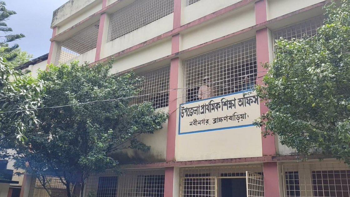 নবীনগরে প্রাথমিক শিক্ষার সংকট: জনবল অভাবে কার্যক্রম বিপর্যস্ত