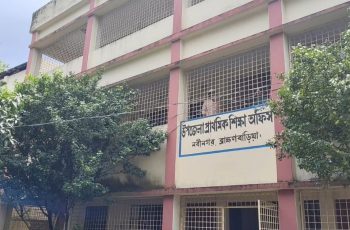 নবীনগরে প্রাথমিক শিক্ষার সংকট: জনবল অভাবে কার্যক্রম বিপর্যস্ত