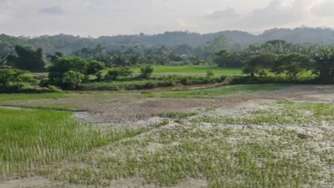 খাগড়াছড়িতে বন্যায় কৃষকের ১১ কোটি টাকার ক্ষতি