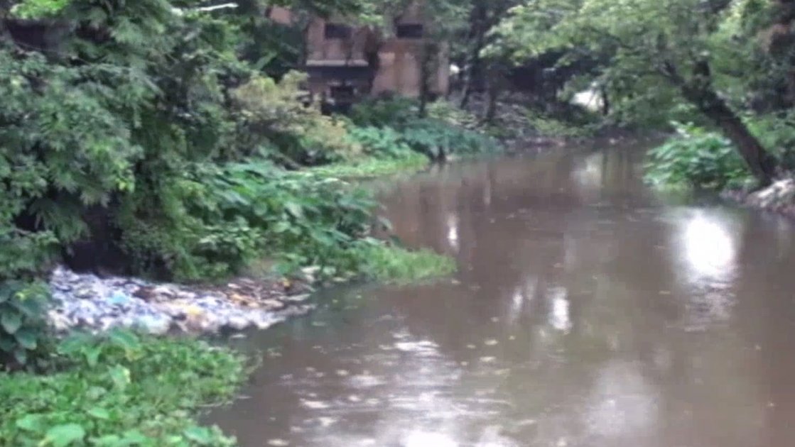 দখল ও দূষণে সংকটে হবিগঞ্জের বরাক নদী