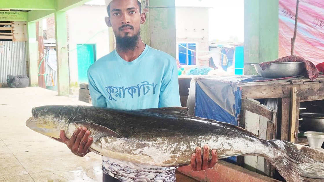 ২০ কেজির সামুদ্রিক শোল মাছ ১৪ হাজার টাকায় বিক্রি
