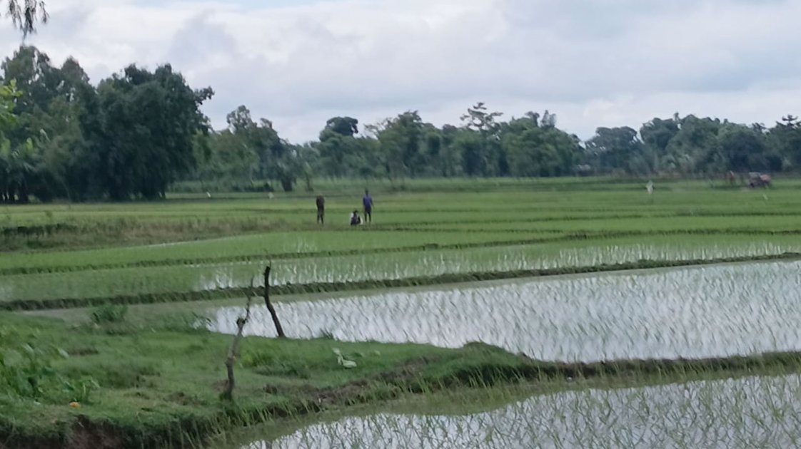 পাটগ্রাম সীমান্তে বিএসএফের খুঁটি স্থাপনের চেষ্টা ব্যাহত
