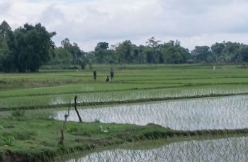 পাটগ্রাম সীমান্তে বিএসএফের খুঁটি স্থাপনের চেষ্টা ব্যাহত