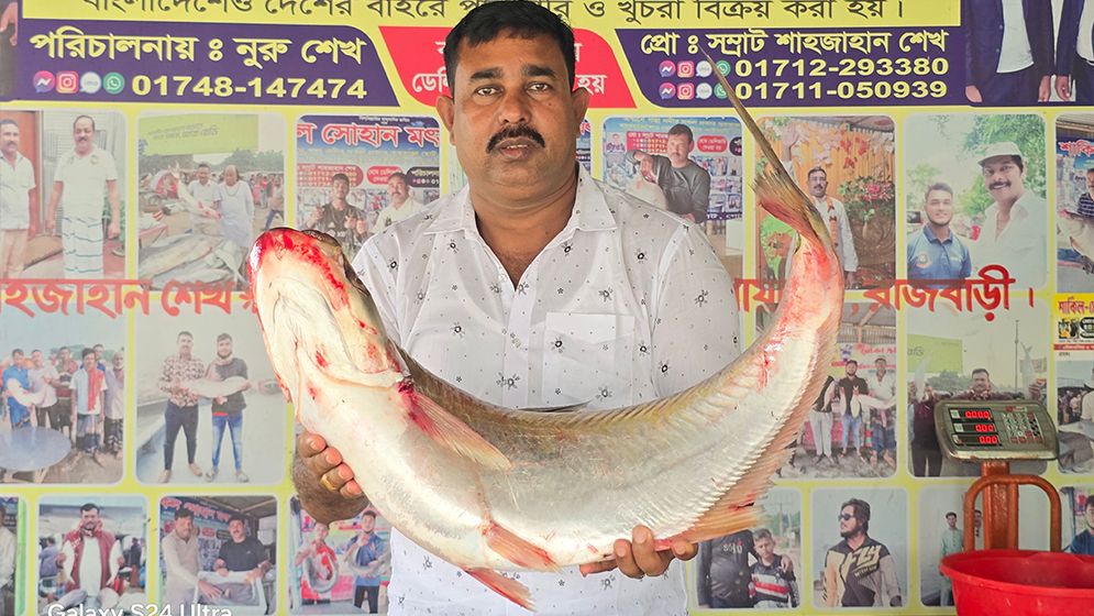 দৌলতদিয়ায় ১০ কেজির বিরল ঢাই মাছ ৫৮ হাজার টাকায় বিক্রি