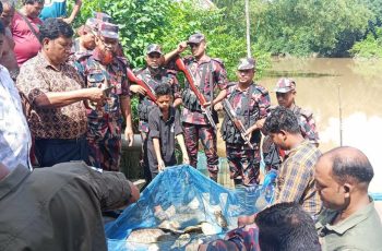 কসবা সীমান্তে ৬৫টি কচ্ছপ উদ্ধার, সালদানদীতে অবমুক্ত