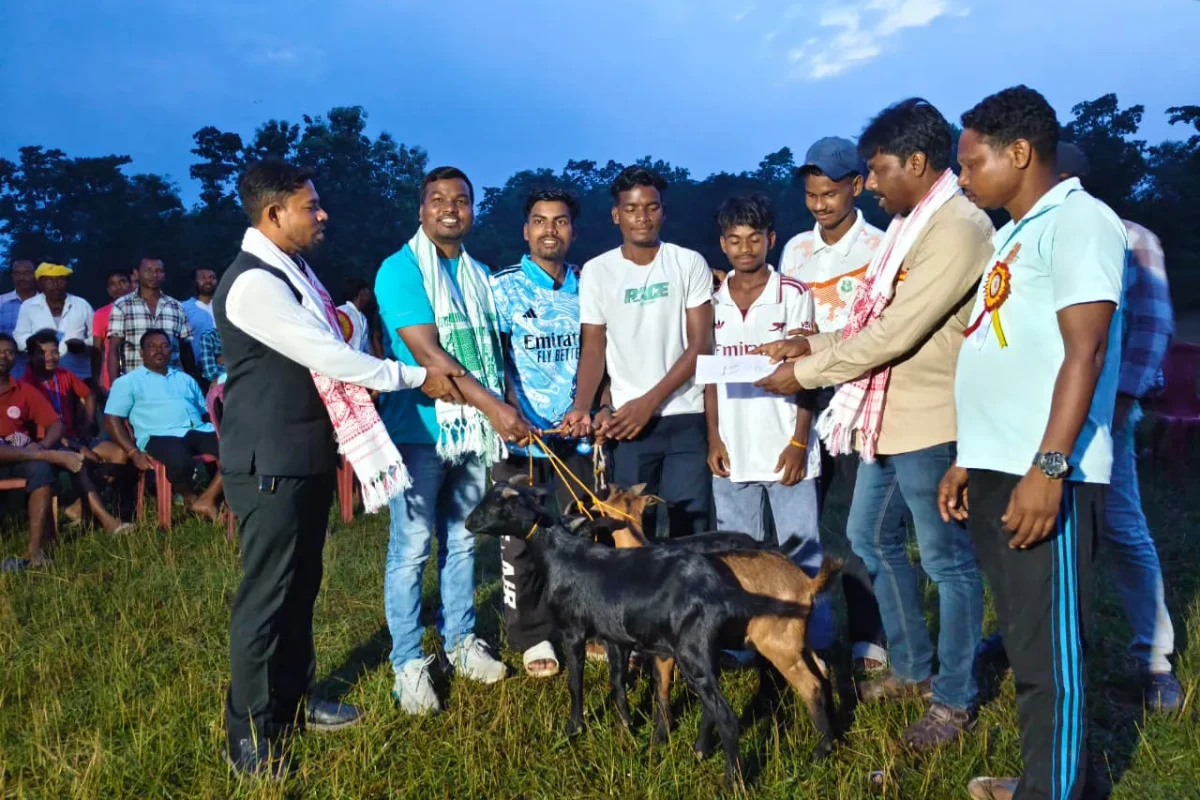 ভারতের আদিবাসী গ্রামে ফুটবল টুর্নামেন্টে পুরস্কার ছাগল