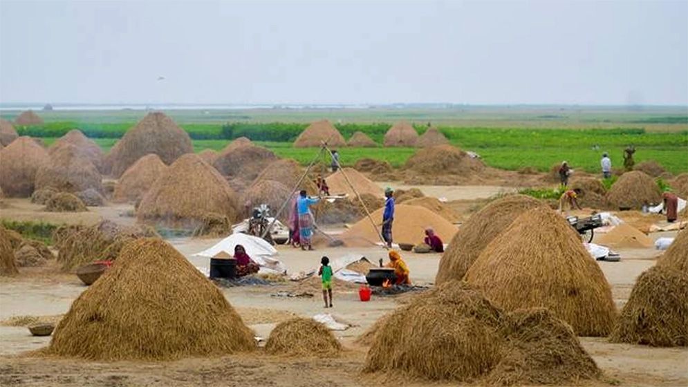 বাংলাদেশে খাদ্য উৎপাদনে 'তীব্র ঝুঁকি' মোকাবেলা করবে ডব্লিউএফপি