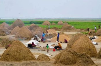 বাংলাদেশে খাদ্য উৎপাদনে 'তীব্র ঝুঁকি' মোকাবেলা করবে ডব্লিউএফপি