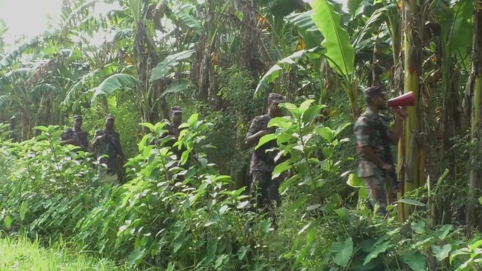 চুয়াডাঙ্গা সীমান্তে ভারতীয় পুশইন চেষ্টা প্রতিহত করেছে বিজিবি
