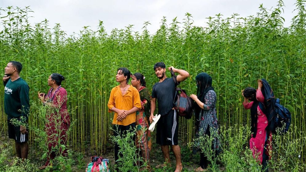 কুষ্টিয়া সীমান্তে ৮ জন পুশইন চেষ্টা রুখে দিল বিজিবি