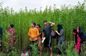 কুষ্টিয়া সীমান্তে ৮ জন পুশইন চেষ্টা রুখে দিল বিজিবি