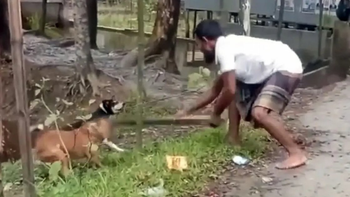 পটুয়াখালীতে হাঁস খাওয়ার অভিযোগে কুকুর হত্যা