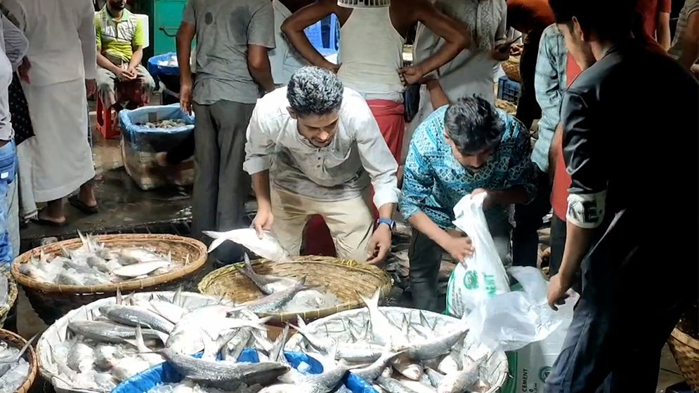 চাঁদপুরে ইলিশের সরবরাহ কমে যাওয়ায় বিপাকে ব্যবসায়ী ও জেলেরা