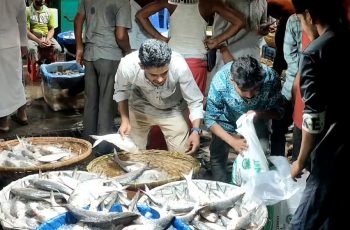 চাঁদপুরে ইলিশের সরবরাহ কমে যাওয়ায় বিপাকে ব্যবসায়ী ও জেলেরা