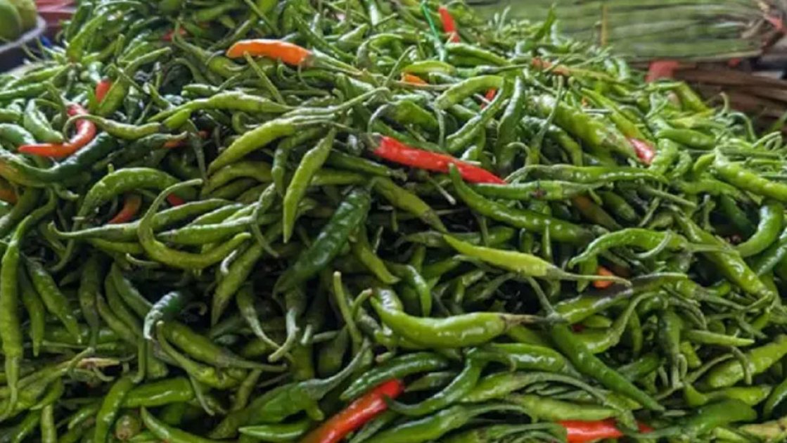 কাঁচা মরিচ আমদানির অনুমতি, আজ থেকেই শুরু
