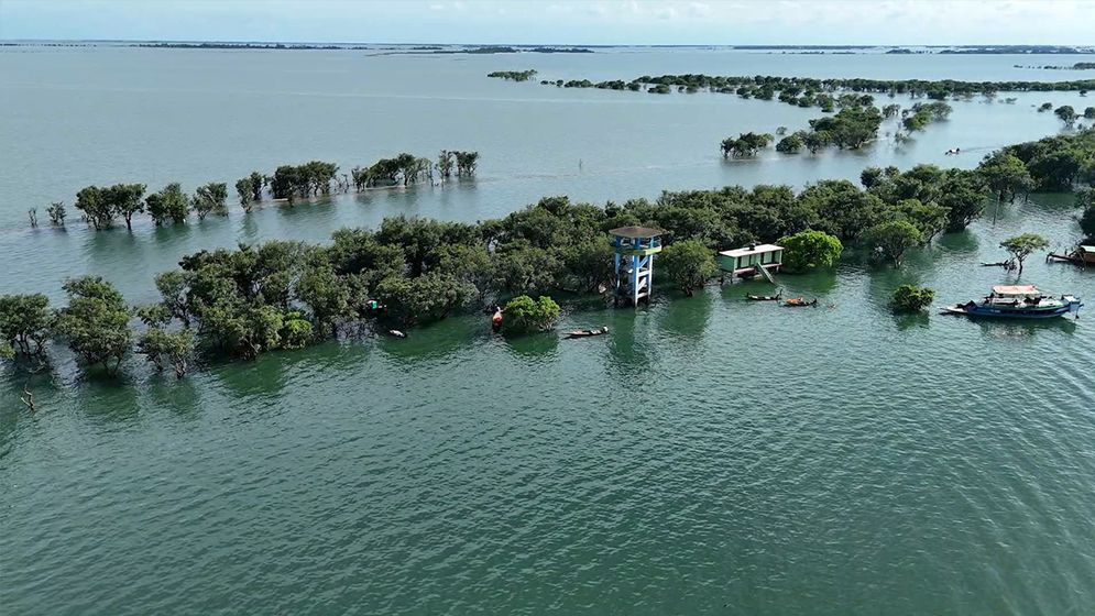 টাঙ্গুয়ার হাওরে ইঞ্জিনচালিত নৌযান নিষিদ্ধ, পর্যটকদের জন্য নেই নিষেধাজ্ঞা