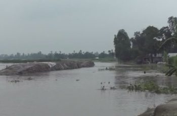 তিস্তা ও দুধকুমার নদীর পানি কমছে, ভাঙন আতঙ্ক বৃদ্ধি