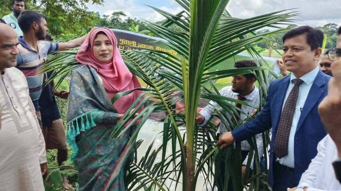 বরগুনায় ১ হাজার গাছের চারা রোপণ কর্মসূচির উদ্বোধন