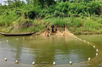 নিষেধাজ্ঞা শেষে কাপ্তাই হ্রদে মাছ ধরা শুরু