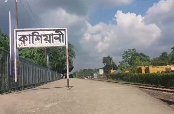 গোপালগঞ্জে ট্রেনে কাটা পড়ে দুই যুবকের মৃত্যু