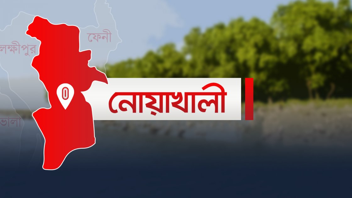 নোয়াখালীতে পুলিশের ওপর হামলায় ৫ সদস্য আহত, ৭ গ্রেপ্তার