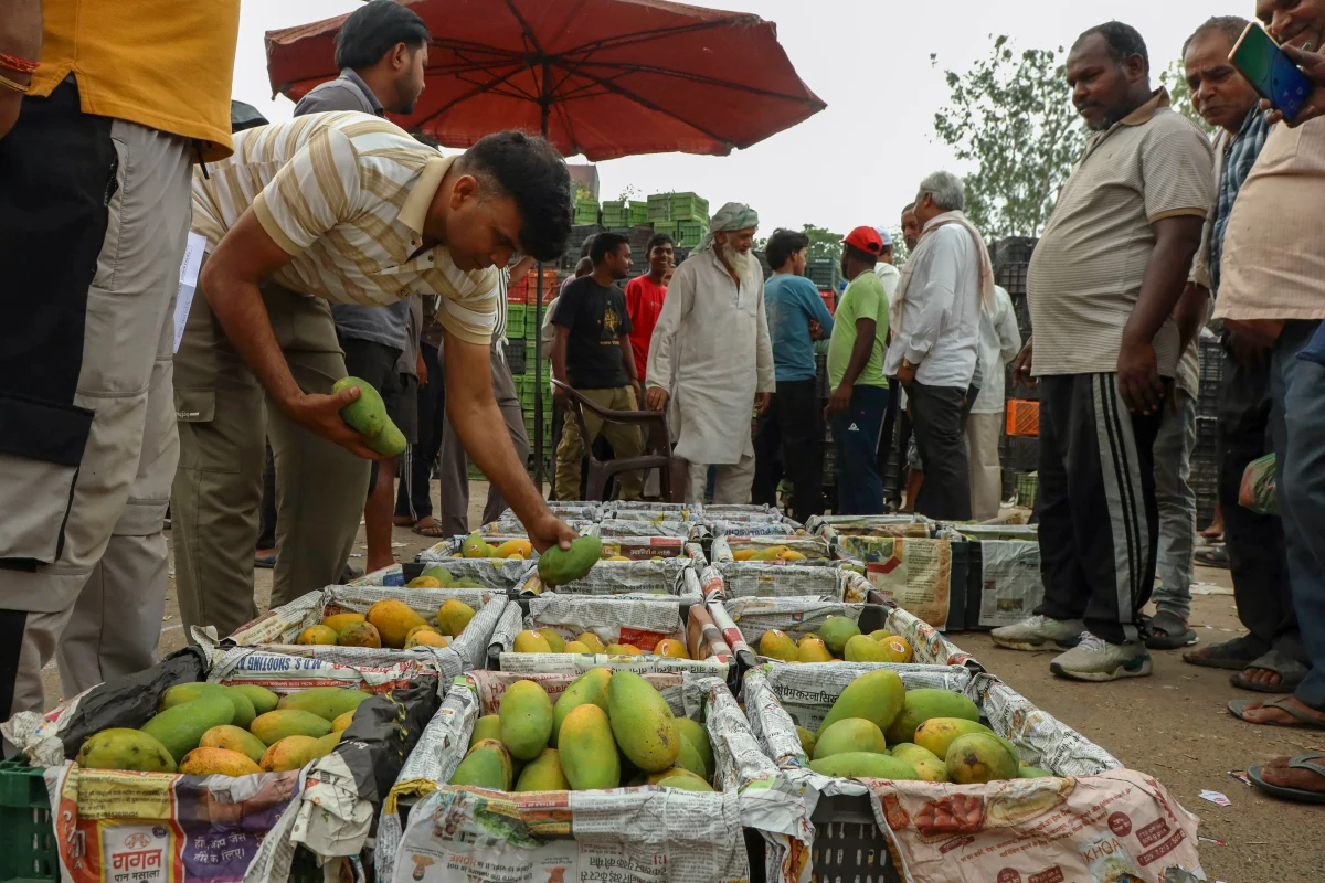 ভারতীয় কৃষি রপ্তানিতে সমস্যার সম্মুখীন: জাপান, চীন ও ইউরোপের বাধা