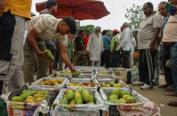 ভারতীয় কৃষি রপ্তানিতে সমস্যার সম্মুখীন: জাপান, চীন ও ইউরোপের বাধা