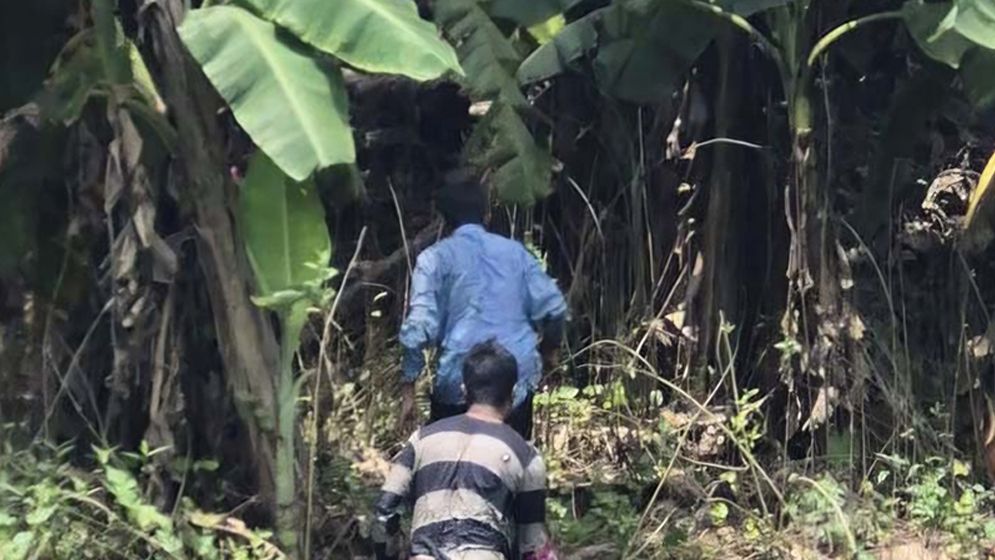 ঝিনাইদহ সীমান্তে বিএসএফের পুশইন চেষ্টা রুখে দিল বিজিবি