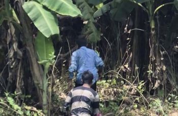 ঝিনাইদহ সীমান্তে বিএসএফের পুশইন চেষ্টা রুখে দিল বিজিবি