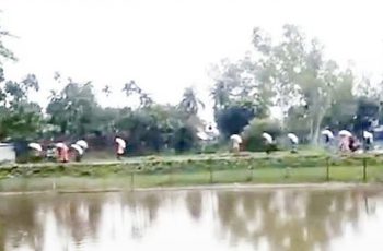 কৃষকদের বিক্ষোভ: গুদাম থেকে ১৯৭ বস্তা সার লুট