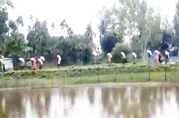 কুড়িগ্রামে কৃষকদের বিক্ষোভ, গুদাম ভেঙে ১০ হাজার কেজি সার লুট