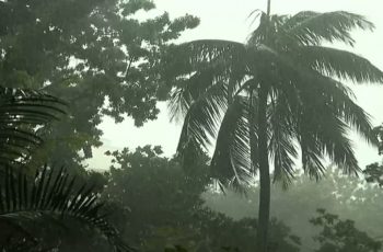 বঙ্গোপসাগরে লঘুচাপ, ঝড়ের পূর্বাভাস