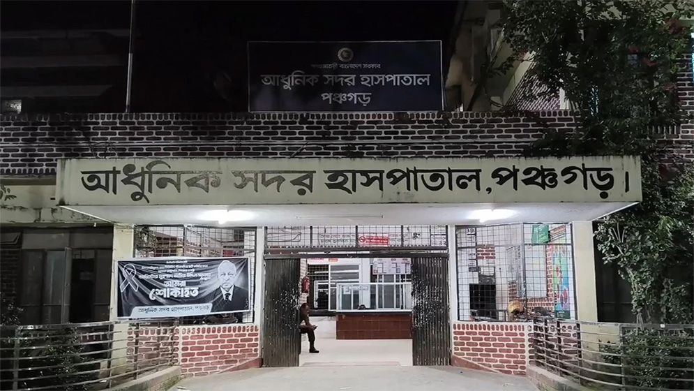 পঞ্চগড়ে শিয়ালের হামলায় ৭ জন আহত