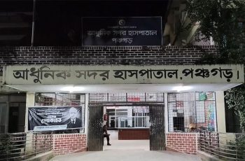 পঞ্চগড়ে শিয়ালের হামলায় ৭ জন আহত