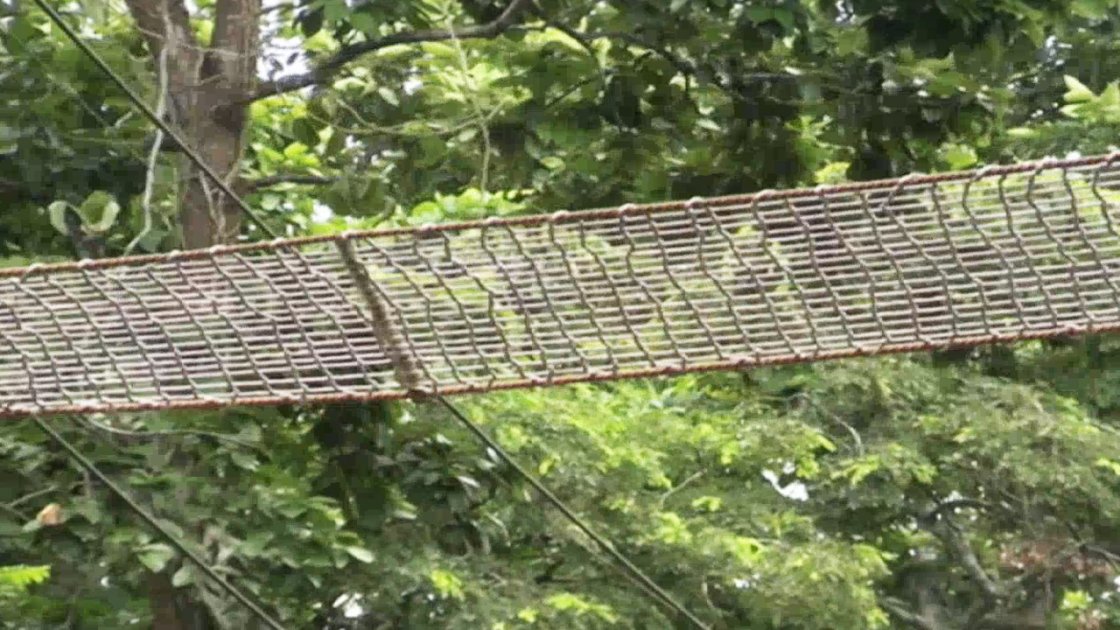 মধুপুর বনাঞ্চলে রোপওয়ে নির্মাণ, কিন্তু প্রাণীদের চলাচল নেই