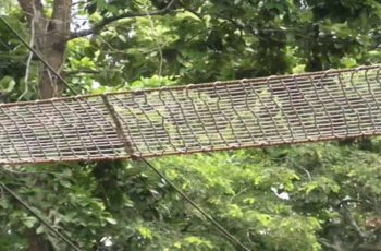 মধুপুর বনাঞ্চলে রোপওয়ে নির্মাণ, কিন্তু প্রাণীদের চলাচল নেই